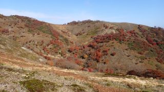 竜ヶ岳登山！紅葉登山！赤いひつじが見たい！登り：遠足尾根、下り：中道登山道【三重県いなべ市】【滋賀県東近江市】【鈴鹿セブンマウンテン】【11月上旬】
