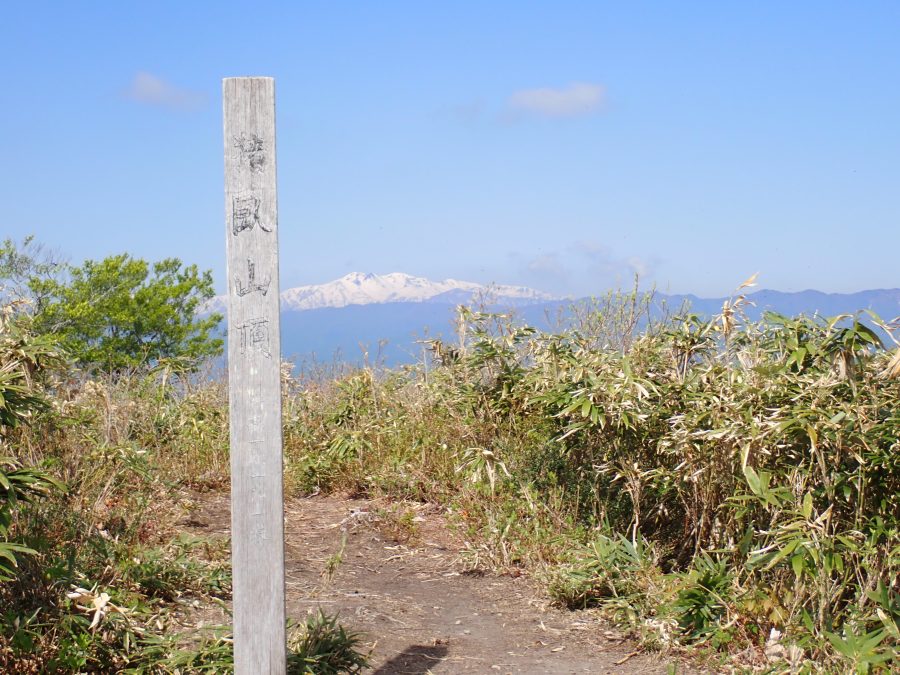 猪臥山登山！山頂から360度見渡せる大パノラマが魅力！山菜取りでも人気！登り：中ルート、下り：立渡ルート！【岐阜県飛騨市・高山市】【5月中旬】
